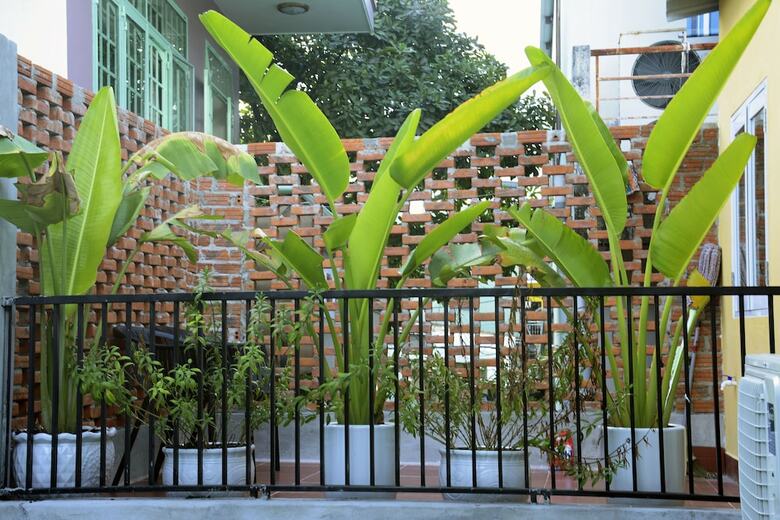 Apartamentos Maia Garden Homestay Danang