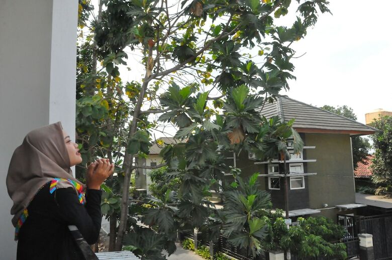 Villa D?java Homestay Unit Monjali 2 By The Grand Java