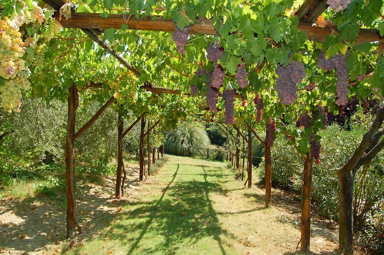 Agroturismo Agriturismo Casale Dei Frontini