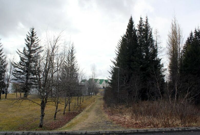 Hotel Bjork Guesthouse