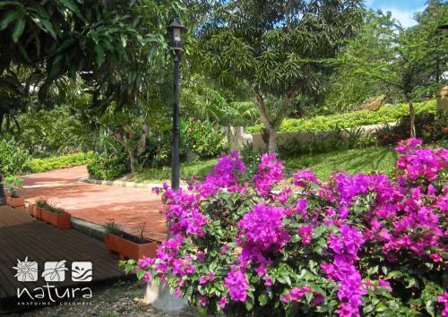 Villa Anapoima Natura