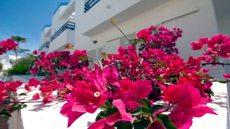 Apartamentos Arto Blanco