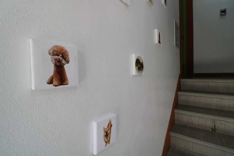 Hostal Four Seasons House - Hostel, Women Only
