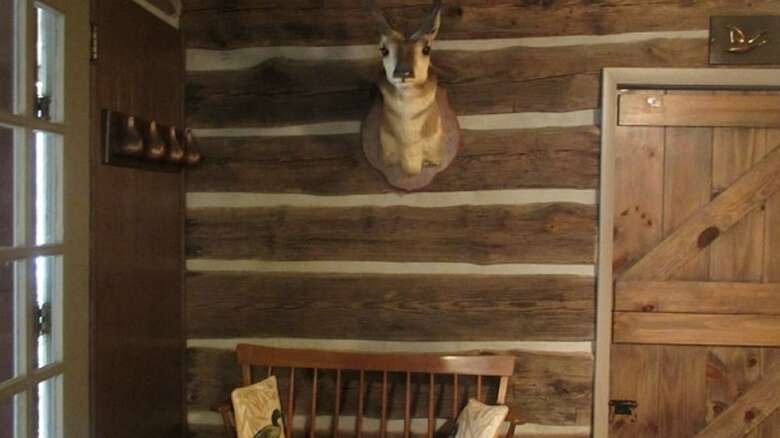 Lake Santeetlah Log Cabin