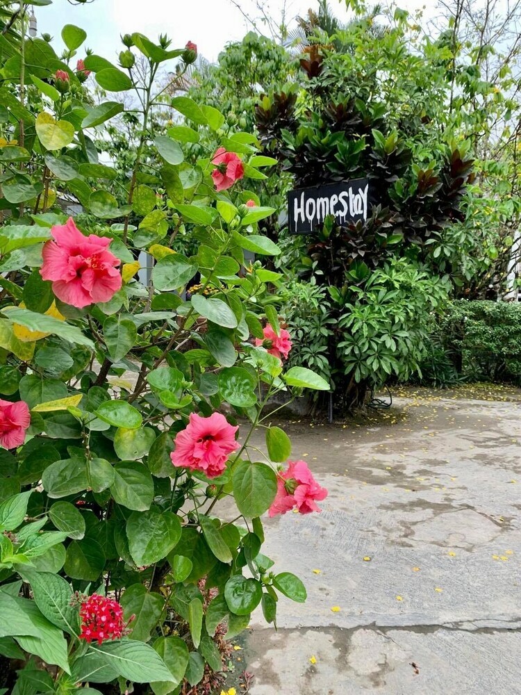 Hotel Khanh's Home