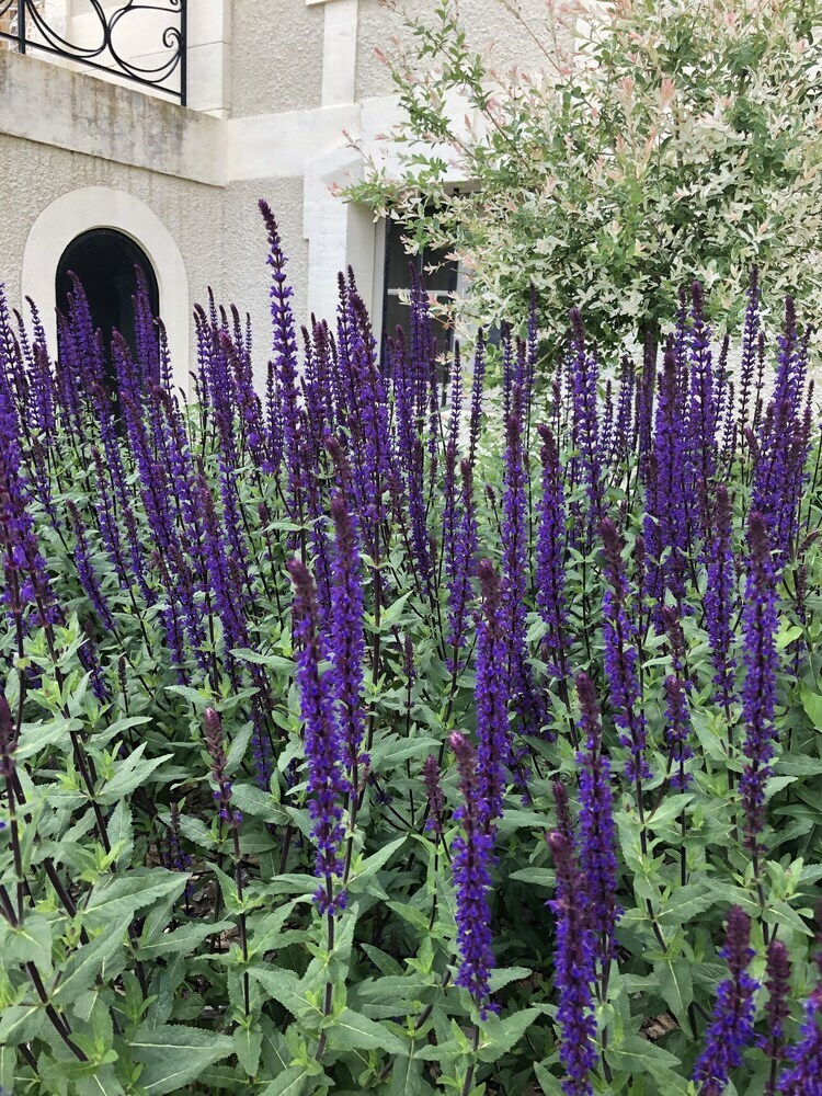 Bed & Breakfast Ch�teau De La Gauderie