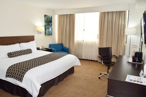 Hotel Executivo Culiacan