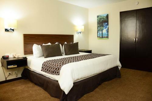 Hotel Executivo Culiacan