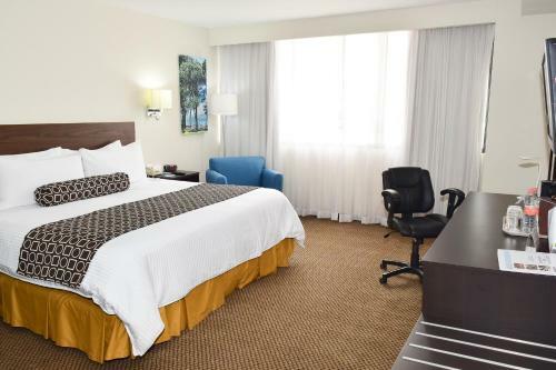 Hotel Executivo Culiacan
