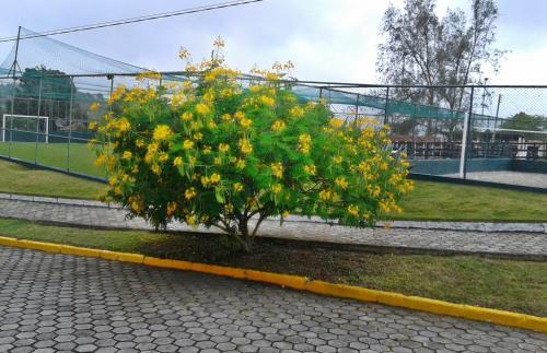 Apartamento No Villa H�pica Flat E Club