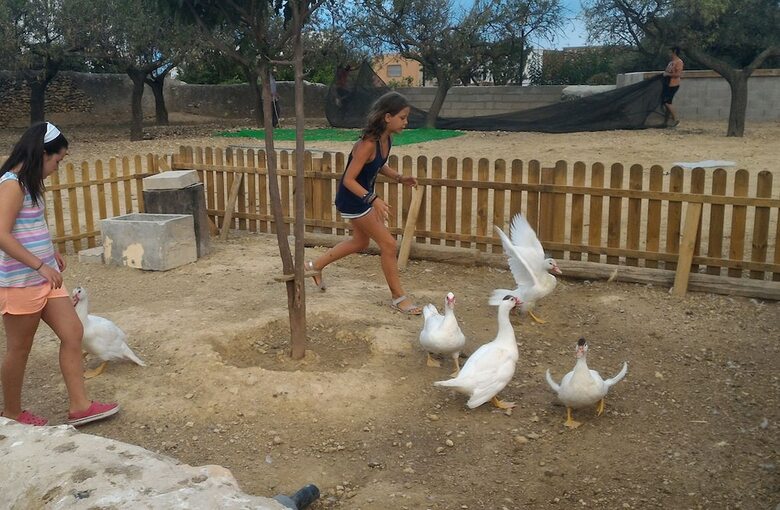 Agroturismo Casa Rural Els Matalapers
