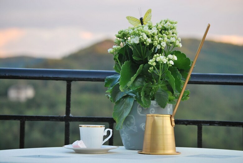 Hotel Artemi's Guesthouse