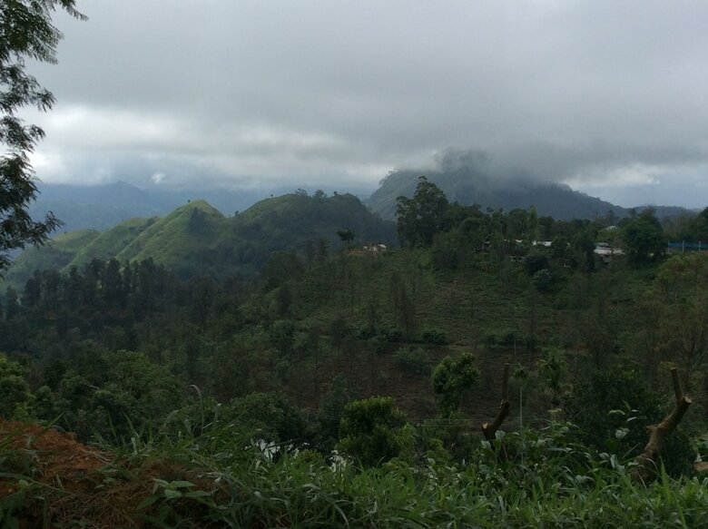 Ella Camping Resort