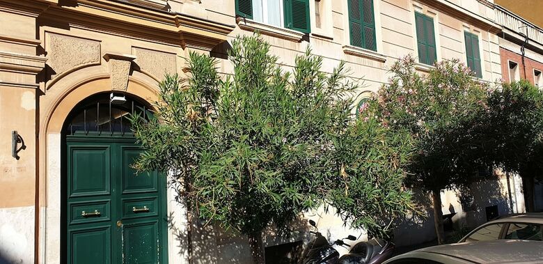 Apartamento Casa Tua Suite Coliseum