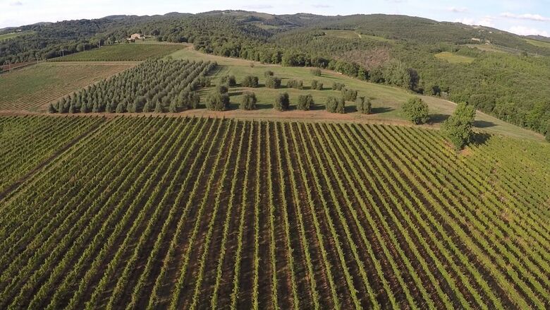 Agroturismo Antica Grancia Di Quercecchio