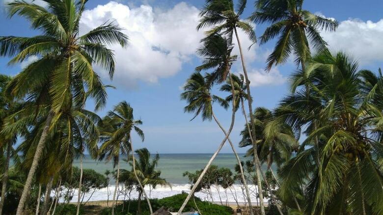 Hotel Blue Ocean Resort