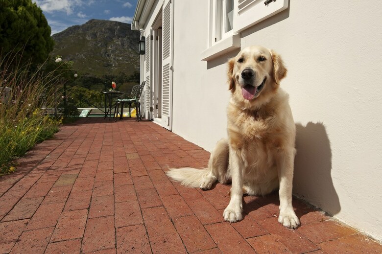 Hotel Malayla Guesthouse - Adults Only