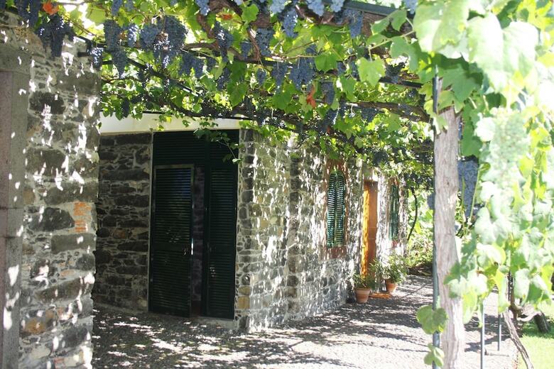 Loja Da Lenha