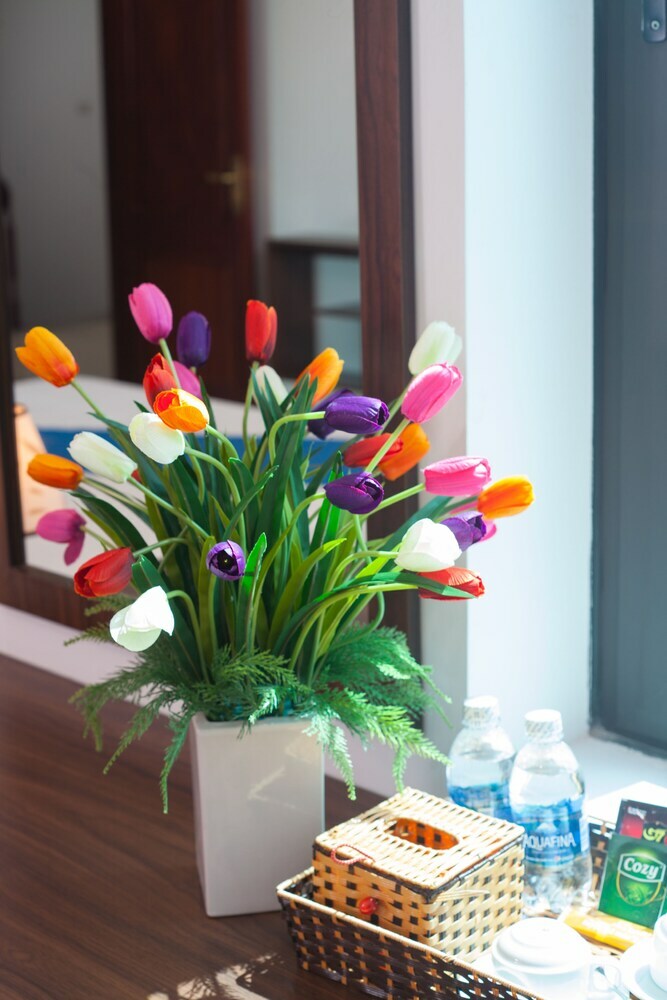 Hotel Hanoi Luxury House & Travel