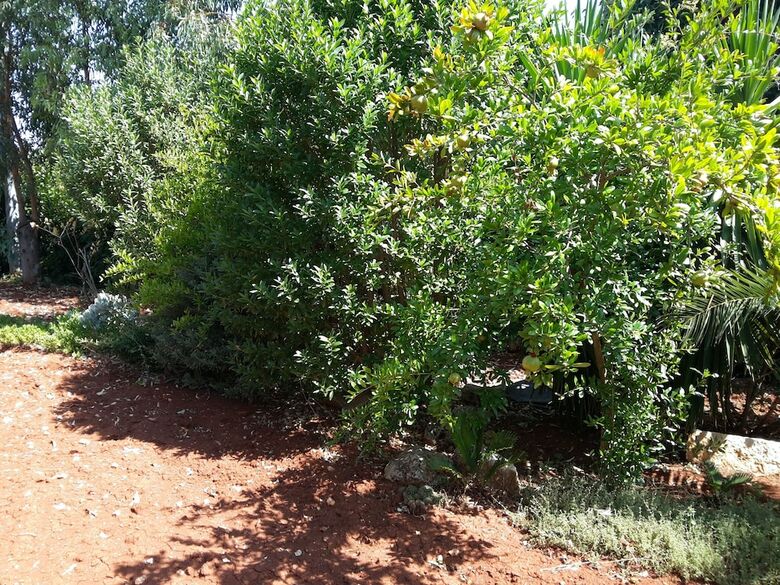 Apartamento Casal Del Borgo
