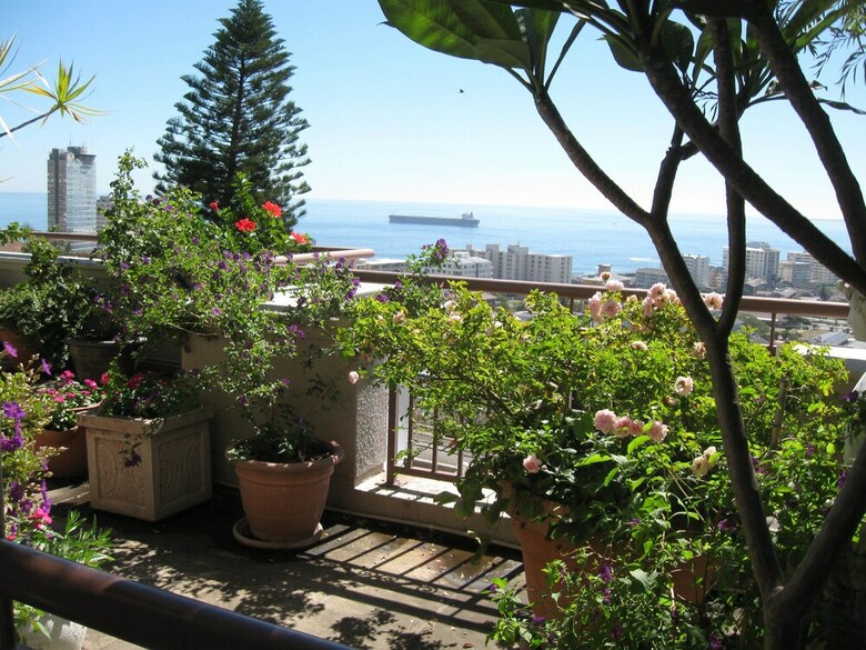 123 Ocean View Drive Apartment