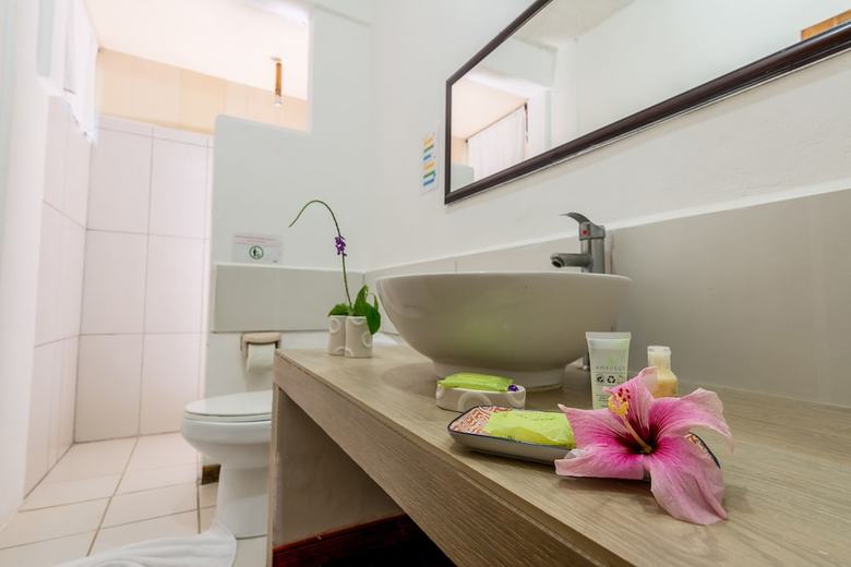 Hotel Cariblue Beach And Jungle Resort