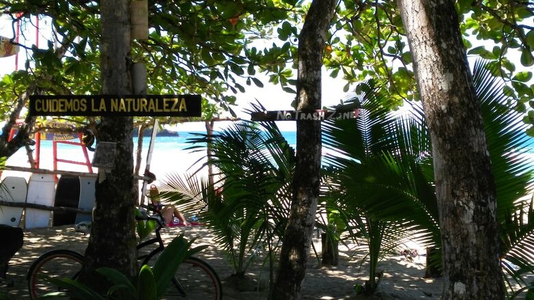 Hotel Cariblue Beach And Jungle Resort