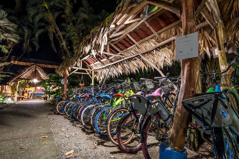 Hotel Cariblue Beach And Jungle Resort