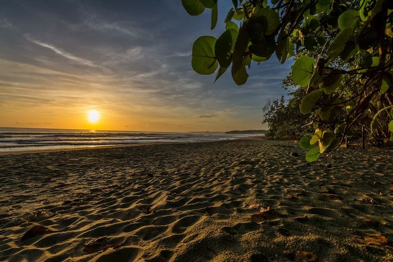 Hotel Cariblue Beach And Jungle Resort