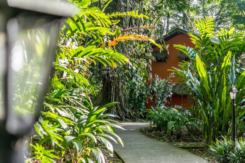 Hotel Cariblue Beach And Jungle Resort