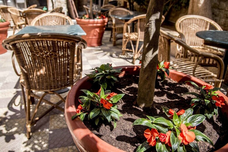Hotel Dar Camelia