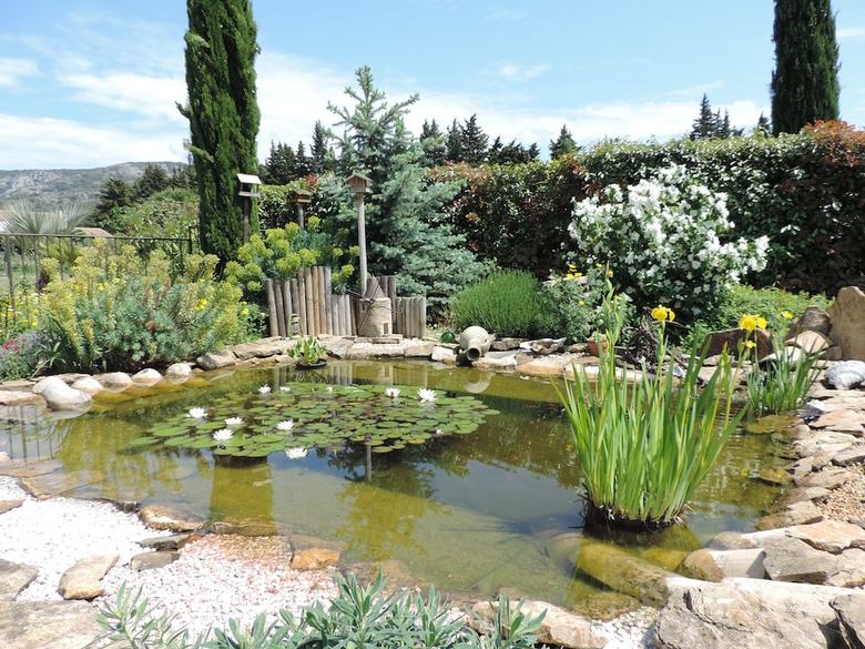 Agroturismo Le Fare Tchanque Gite