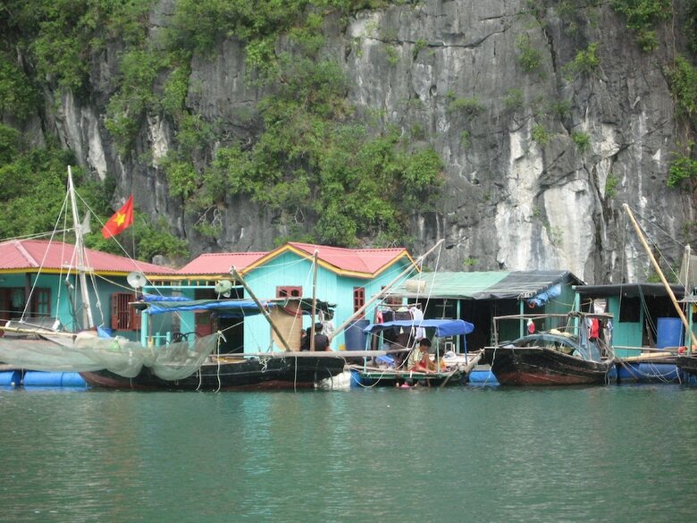 White Dolphin Cruise