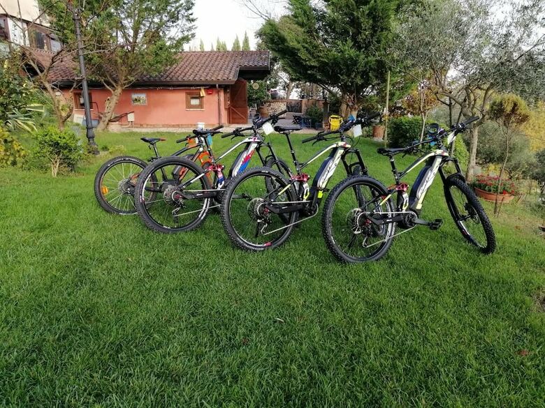 Agroturismo Country House Bosco D'olmi