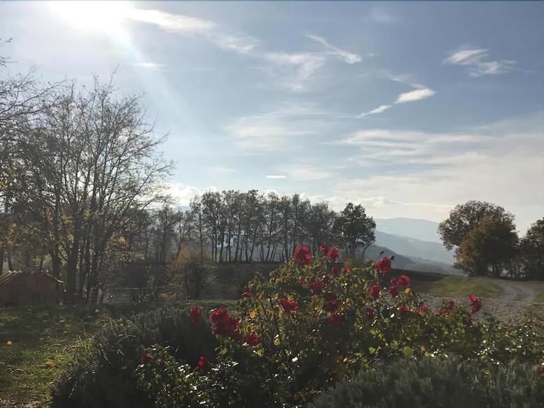 Agroturismo Agriturismo Il Filare