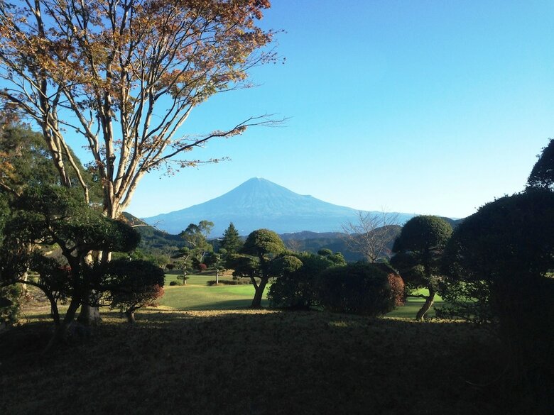 Hotel Guesthouse Curry Village