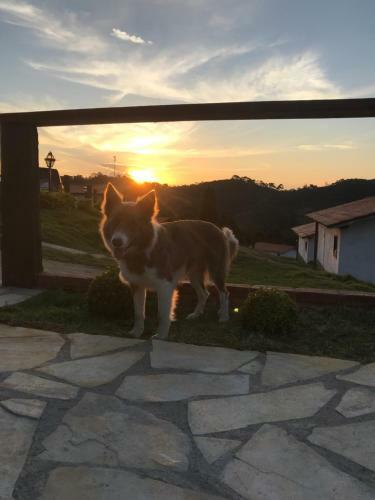 Lodge Pousada Chal�s Alternativa