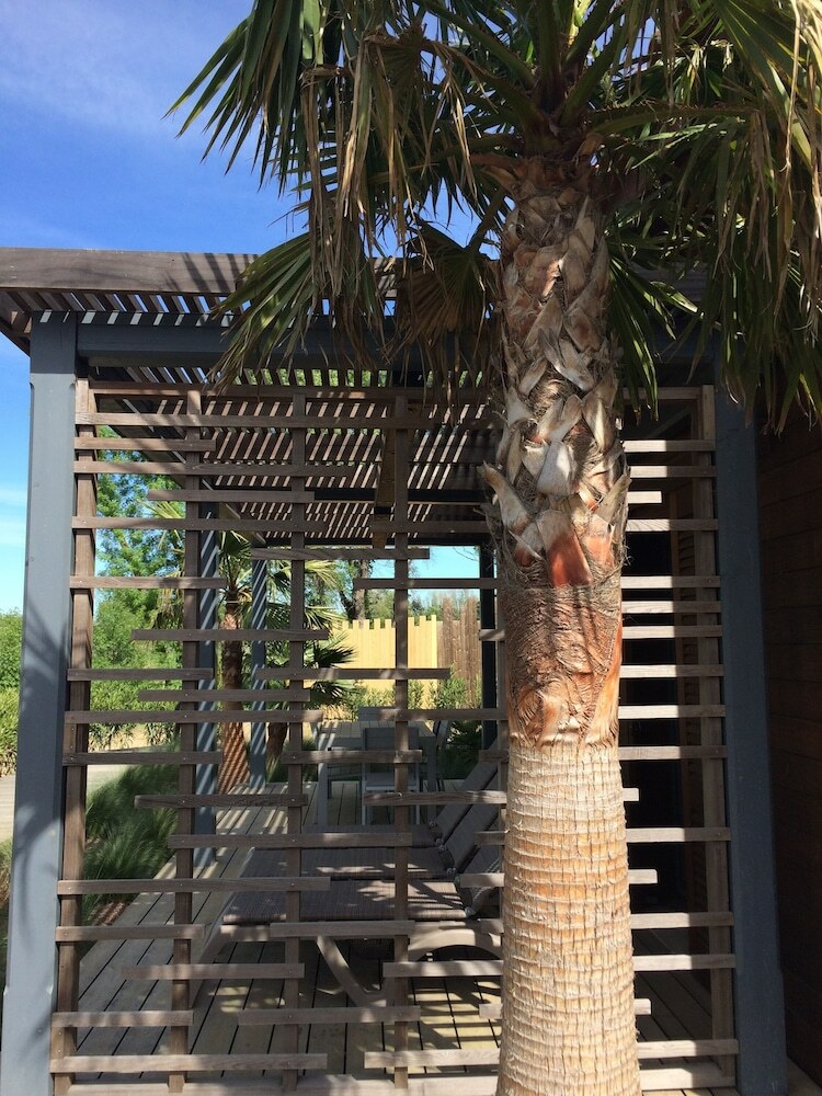Apartamento R�sidence St Pierre - Near Azur Park