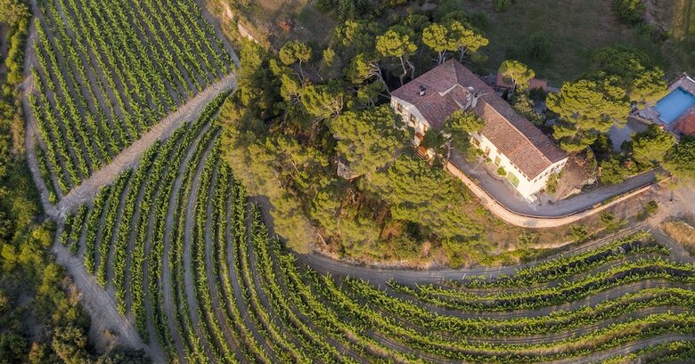 Villa Mas Barbat