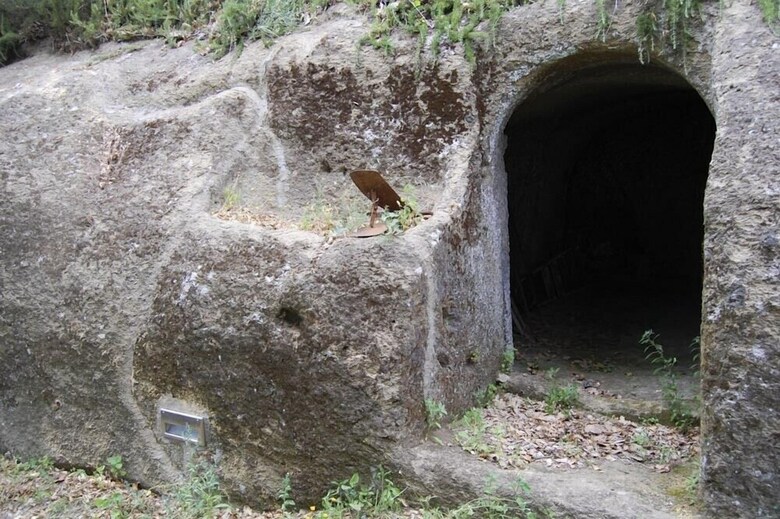 Verdidea - Villa Degli Olivi