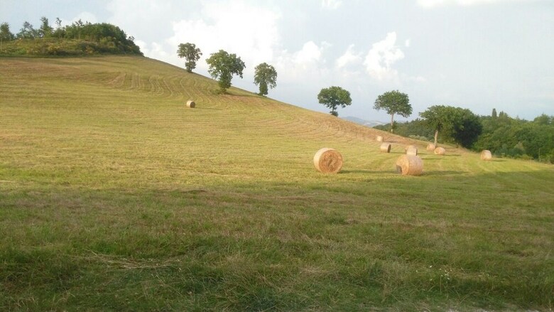 Bed And Breakfast Monticelli