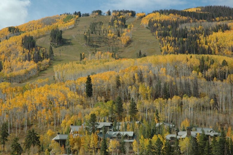 Centennial Studio Condo Unit 11a