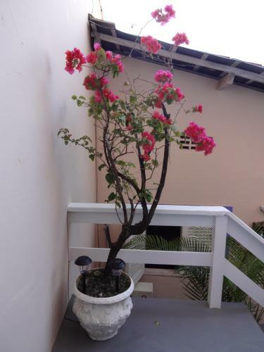 Hostal Pousada Via Brasil