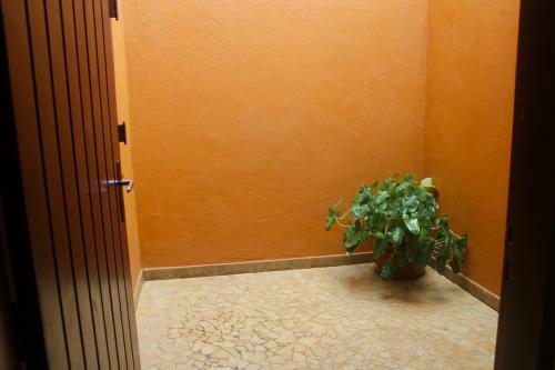 Apartamento Chalet Sol Da Prainha