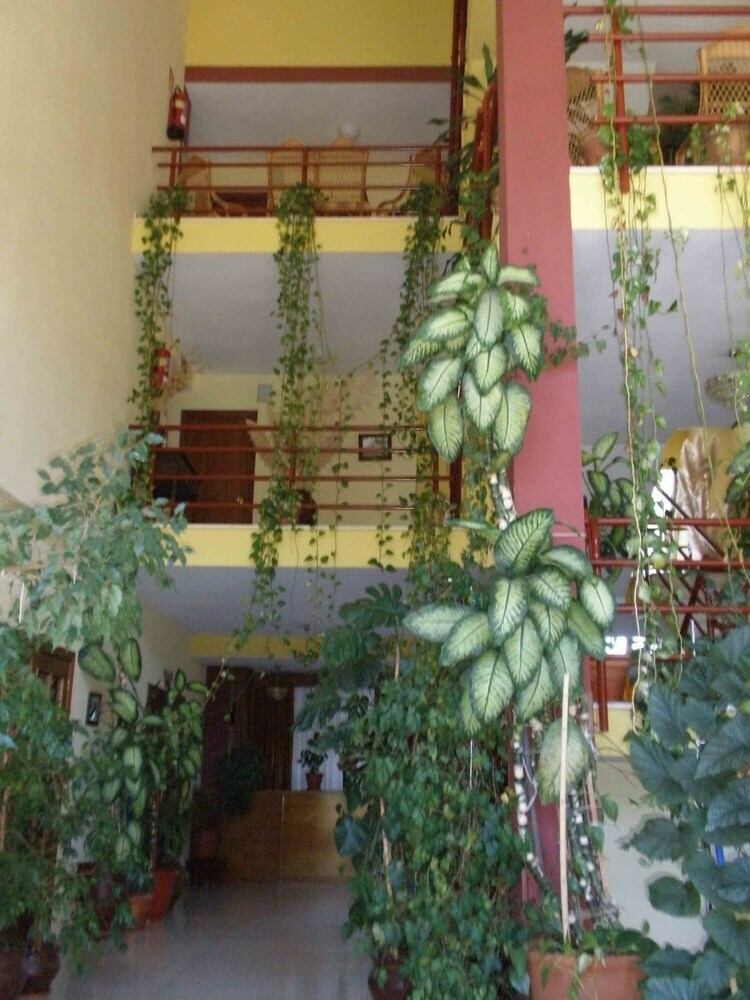 Hotel La Palmera