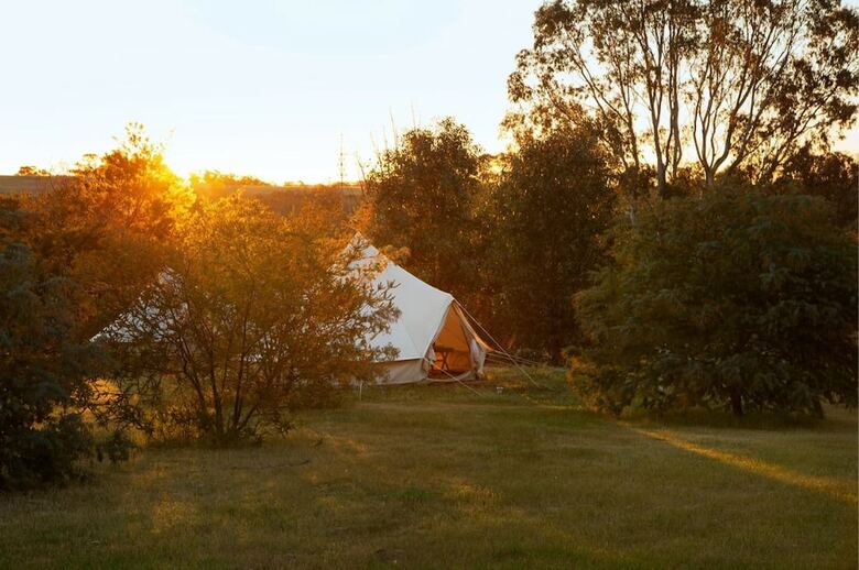 Hotel Goldfield Glamping