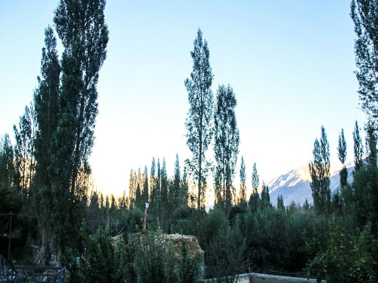 Hotel Goba Guest House