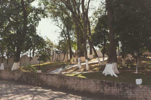Hotel Tabarana