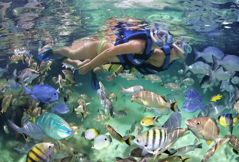 Aparthotel Best Family Vacation Apartment For Rent