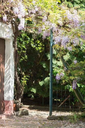 Apartamento Appartement Aux Deux Cigognes
